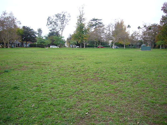 P1060973