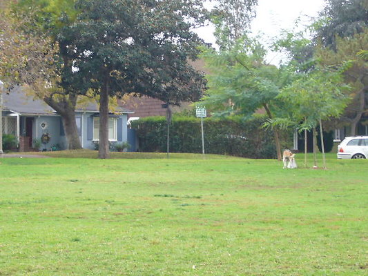 P1060975