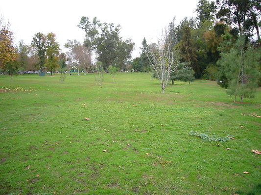 P1060985