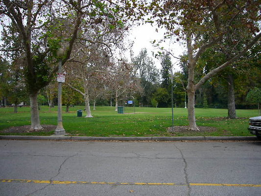 P1060988