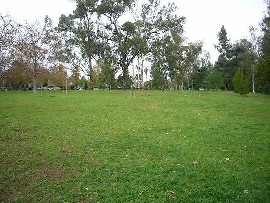P1060974