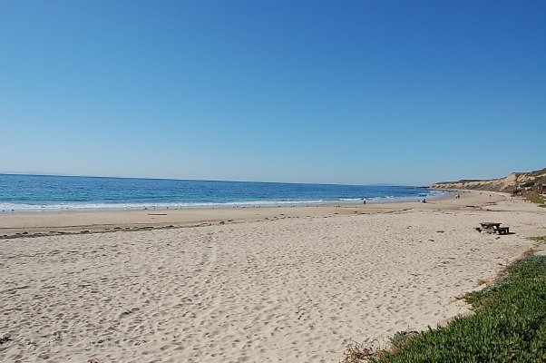DSC 0317