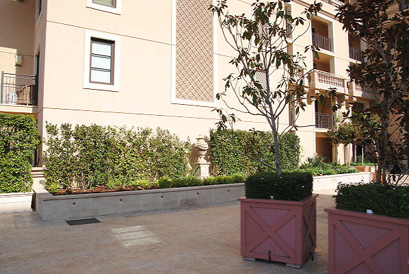 DSC 0193