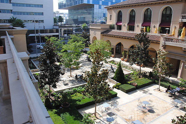 DSC 0296