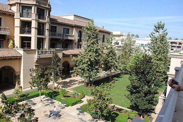 DSC 0290