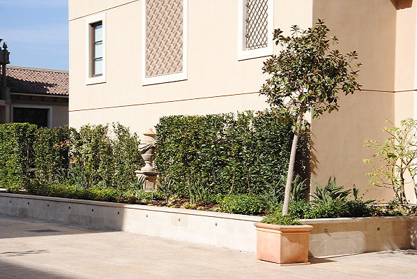 DSC 0189