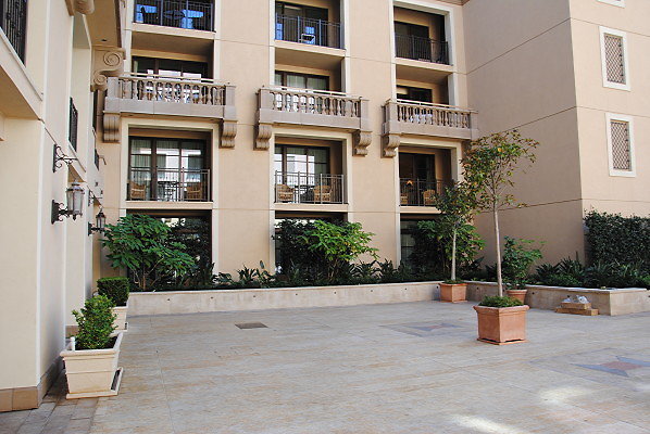 DSC 0184