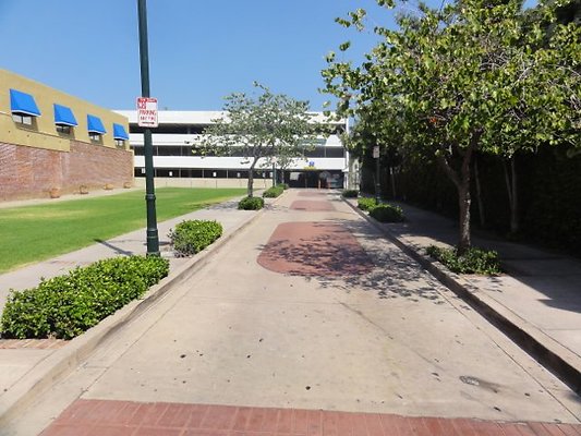 DSC09230
