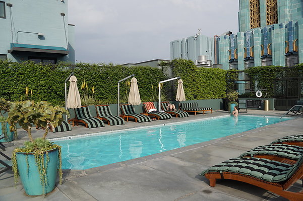 DSC00253