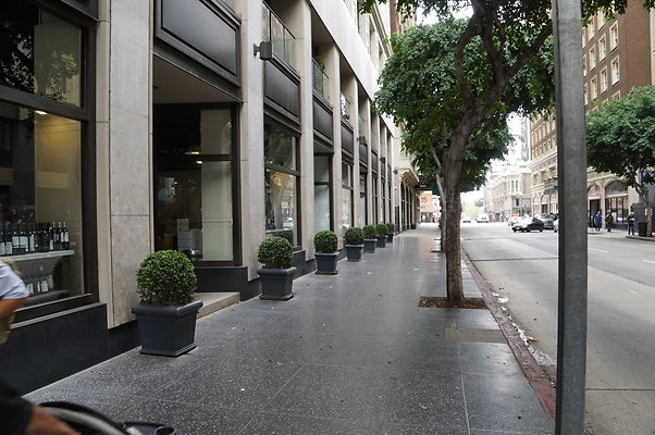 DSC09914