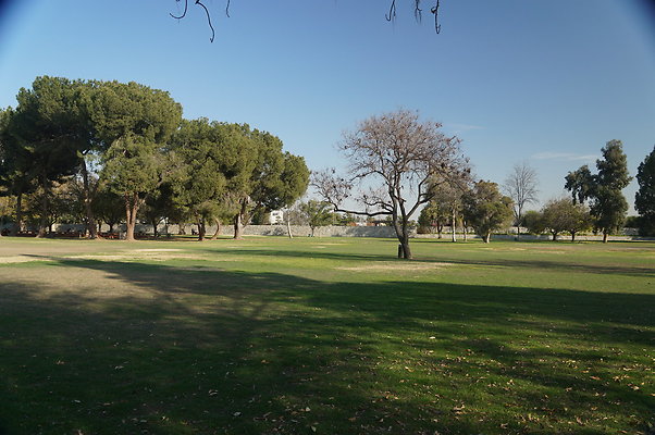 Woodley Park Green Field