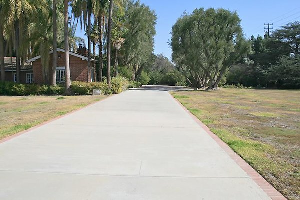 Parthenia Northridge  03