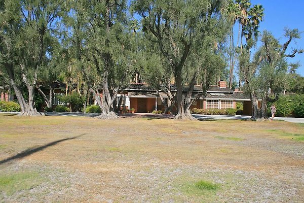 Parthenia Northridge  10