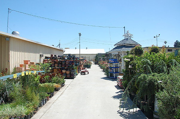 DSC 0429