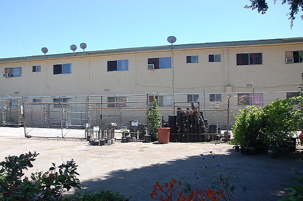DSC 0464