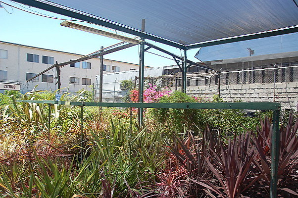 DSC 0391