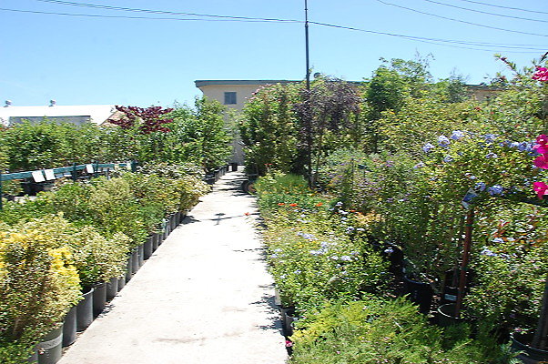 DSC 0450
