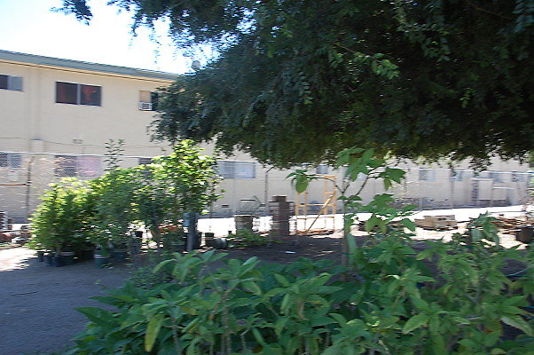 DSC 0465