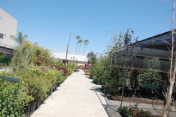 DSC 0472