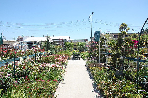 DSC 0436