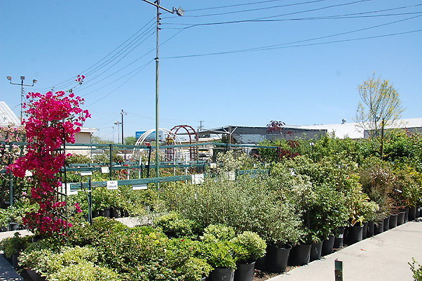 DSC 0476