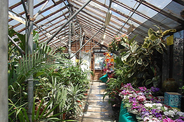 DSC 0409