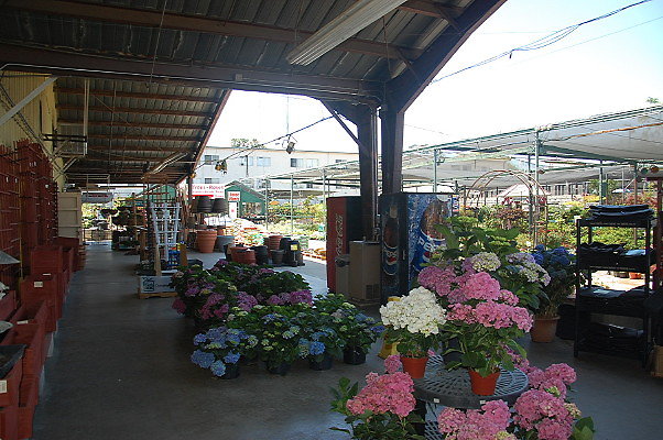 DSC 0363