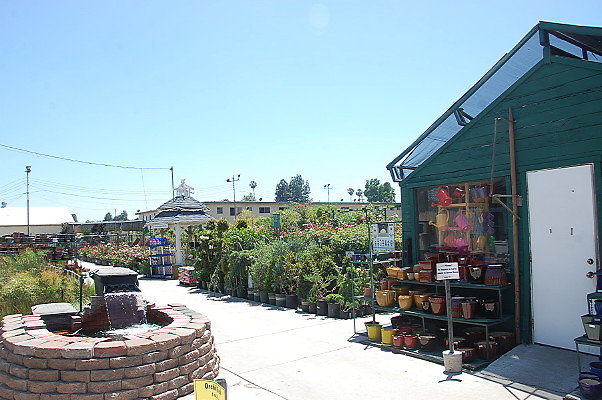 DSC 0396