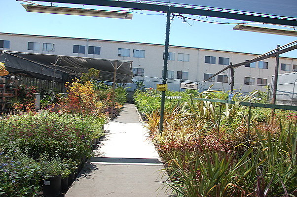 DSC 0390
