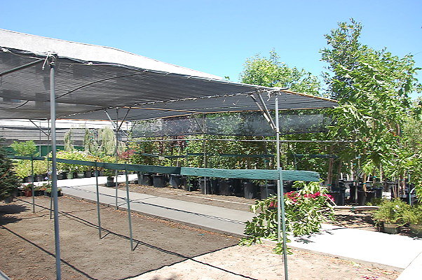 DSC 0461