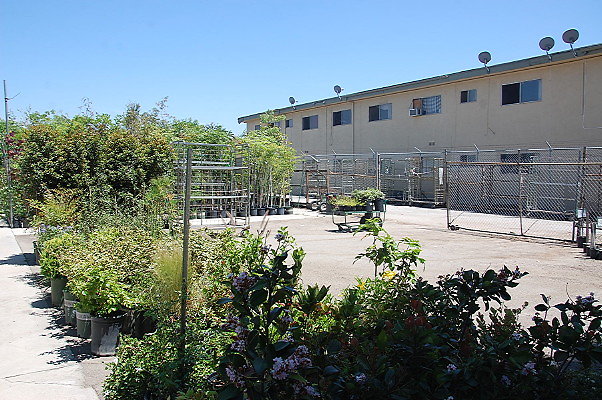 DSC 0463