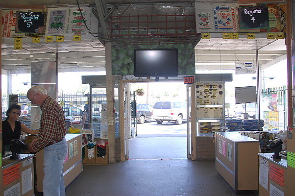 DSC 0350