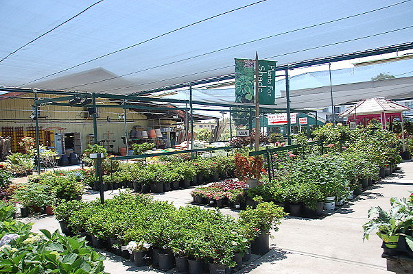 DSC 0385
