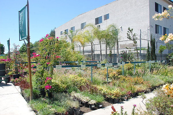 DSC 0446
