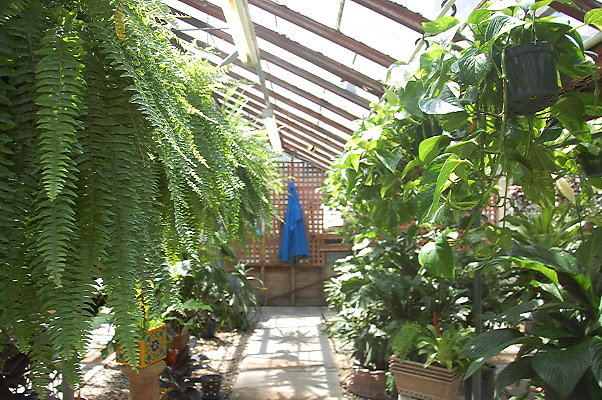 DSC 0422