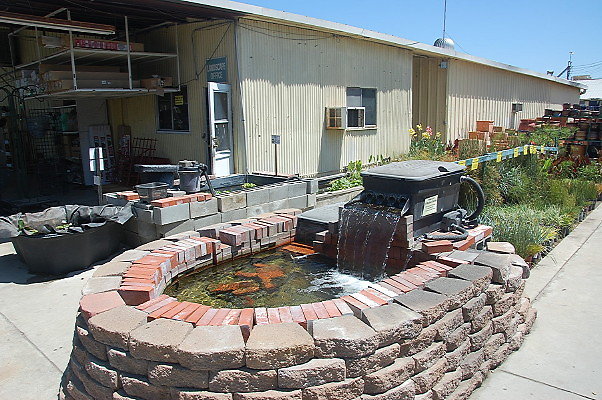 DSC 0428