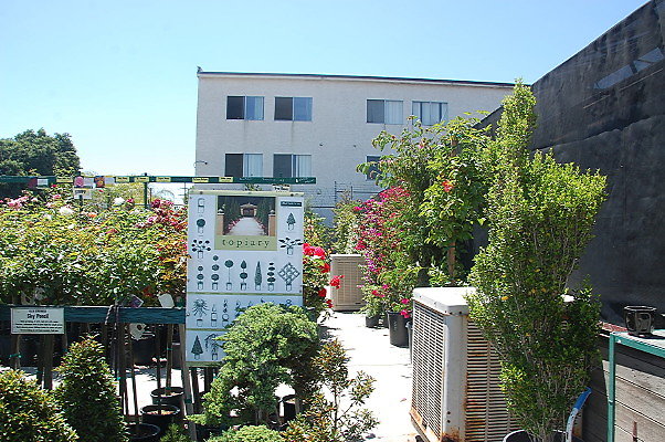 DSC 0431