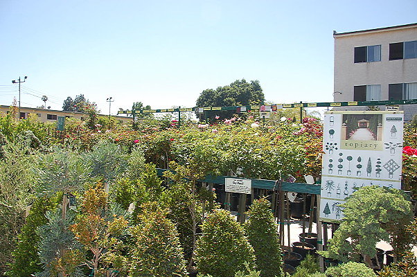 DSC 0430