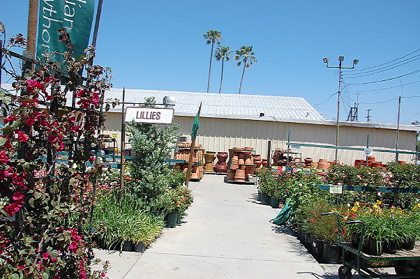 DSC 0441