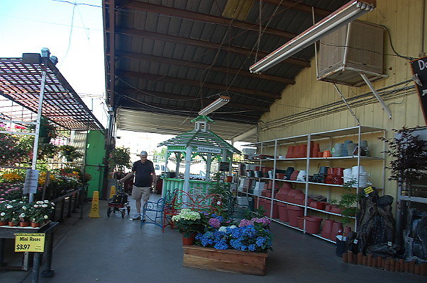 DSC 0367