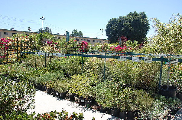 DSC 0439