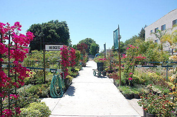 DSC 0443