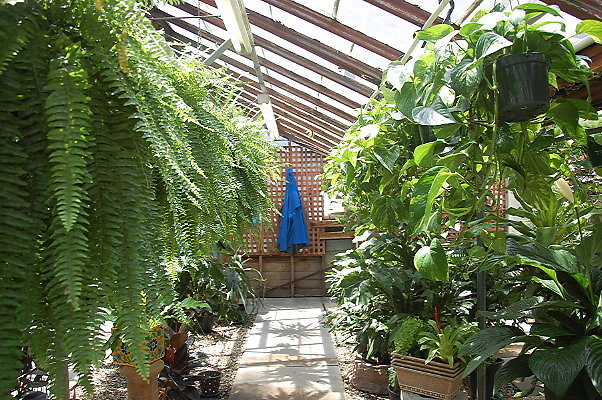 DSC 0410