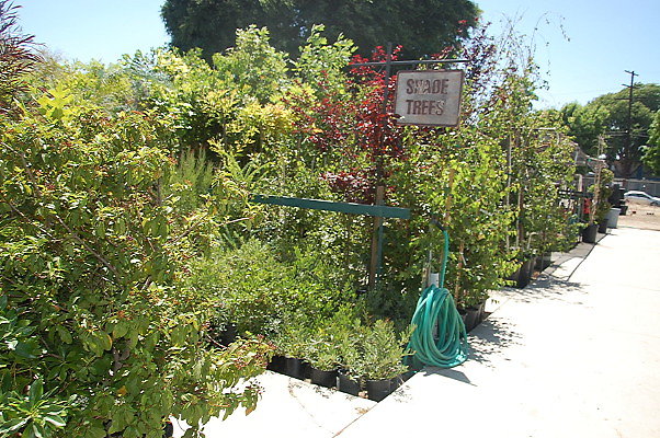 DSC 0454