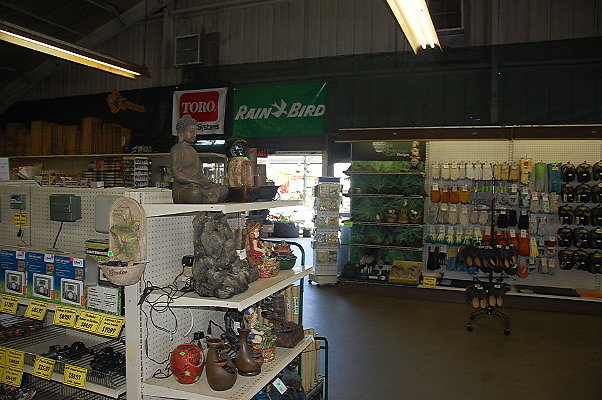 DSC 0354