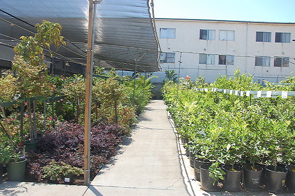 DSC 0392