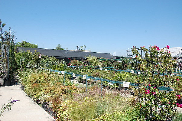 DSC 0474