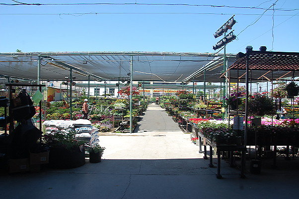 DSC 0364