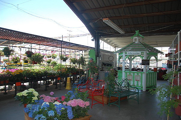 DSC 0365