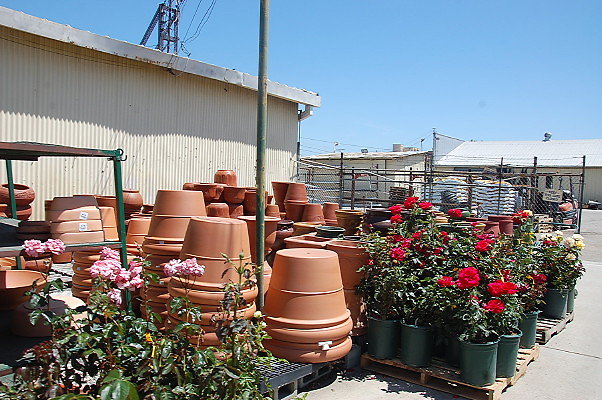 DSC 0479